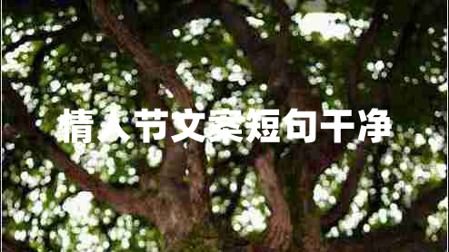 情人節(jié)文案短句干凈 情人節(jié)文案短句干凈