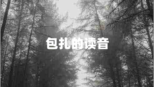 包扎的讀音 包扎的讀音