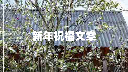新年祝福文案 新年祝福文案