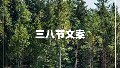 三八節(jié)文案