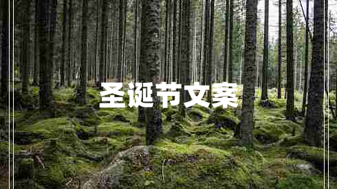 圣誕節(jié)文案