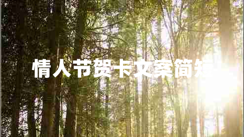 情人節(jié)賀卡文案簡短