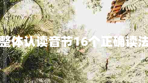 整體認(rèn)讀音節(jié)16個正確讀法 整體認(rèn)讀音節(jié)16個正確讀法