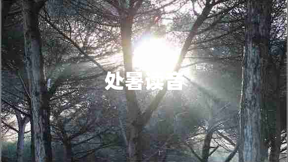 處暑讀音 處暑讀音