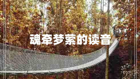 魂?duì)繅艨M的讀音