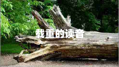 載重的讀音