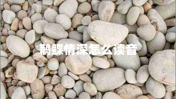 鶼鰈情深怎么讀音