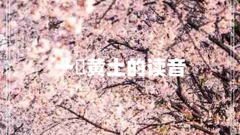 一抔黃土的讀音 一抔黃土的讀音