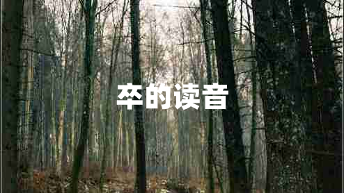 卒的讀音 卒的讀音