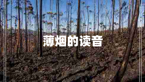 薄煙的讀音 薄煙的讀音