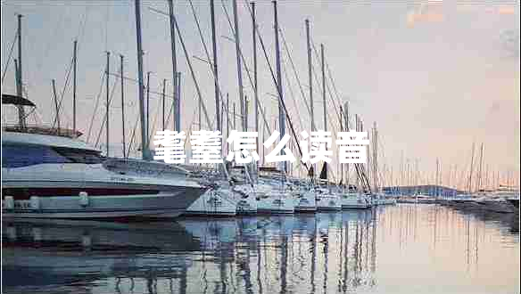 耄耋怎么讀音 耄耋怎么讀音