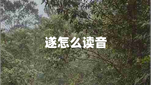 遂怎么讀音
