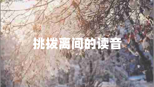 挑撥離間的讀音 挑撥離間的讀音