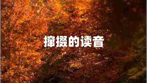 攛掇的讀音 攛掇的讀音