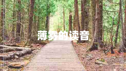 薄霧的讀音 薄霧的讀音