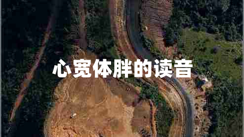 心寬體胖的讀音