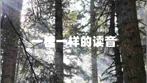 一模一樣的讀音