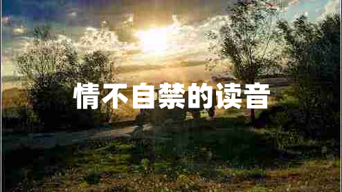 情不自禁的讀音