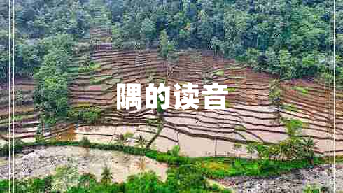 隅的讀音 隅的讀音