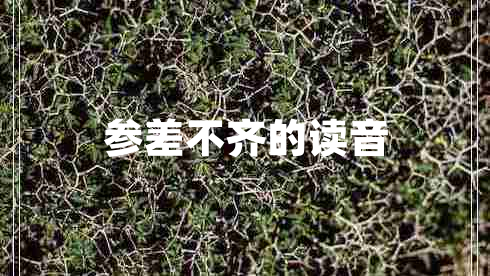 參差不齊的讀音