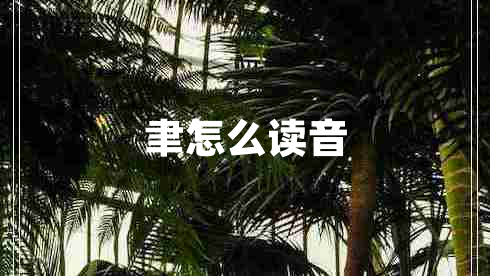 聿怎么讀音 聿怎么讀音