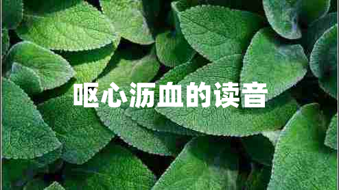 嘔心瀝血的讀音