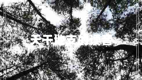 天干地支的讀音