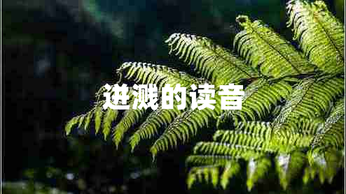 迸濺的讀音 迸濺的讀音