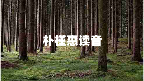 樸槿惠讀音 樸槿惠讀音