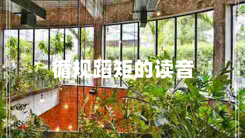 循規(guī)蹈矩的讀音 循規(guī)蹈矩的讀音