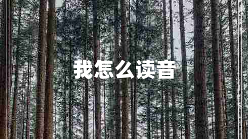 我怎么讀音 我怎么讀音