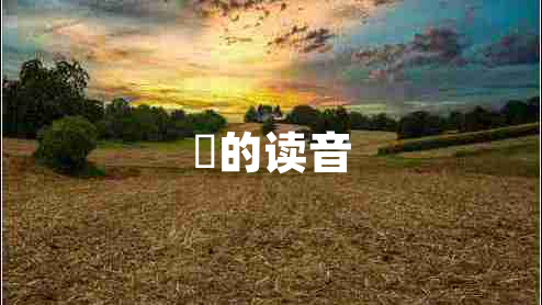 抔的讀音 抔的讀音