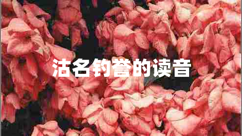 沽名釣譽(yù)的讀音 沽名釣譽(yù)的讀音