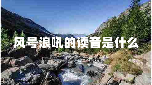 風(fēng)號(hào)浪吼的讀音是什么