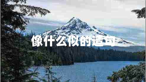 像什么似的造句 像什么似的造句