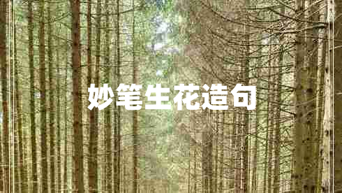 妙筆生花造句 妙筆生花造句