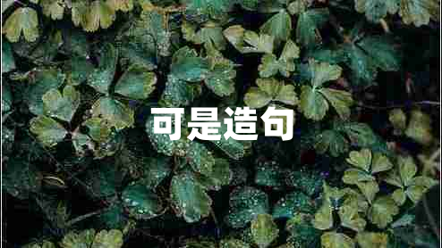 可是造句 可是造句