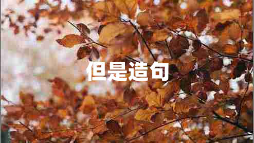 但是造句 但是造句