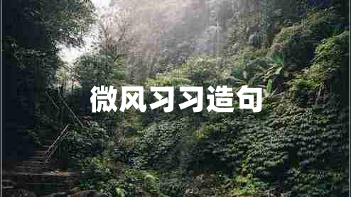 微風(fēng)習(xí)習(xí)造句 微風(fēng)習(xí)習(xí)造句