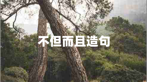 不但而且造句 不但而且造句