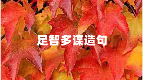 足智多謀造句 足智多謀造句