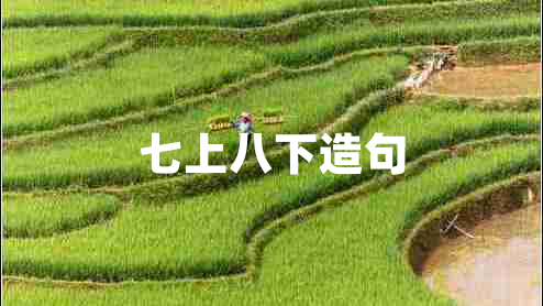 七上八下造句 七上八下造句