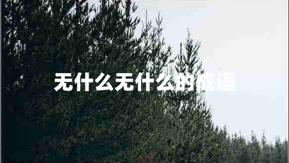 無(wú)什么無(wú)什么的成語(yǔ)