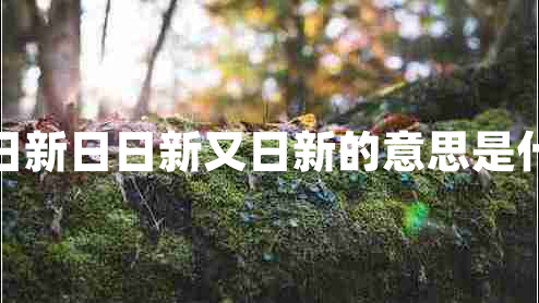 茍日新日日新又日新的意思是什么