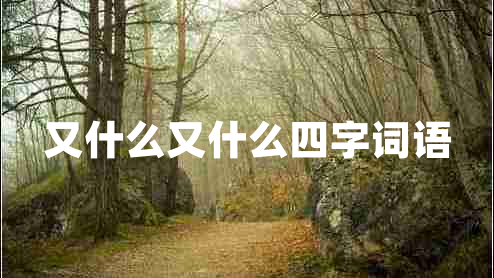 又什么又什么四字詞語 又什么又什么四字詞語