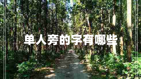 單人旁的字有哪些