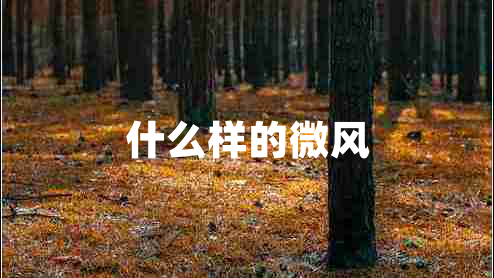 什么樣的微風(fēng)