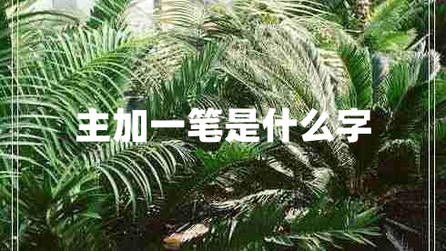 主加一筆是什么字