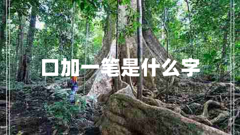 口加一筆是什么字