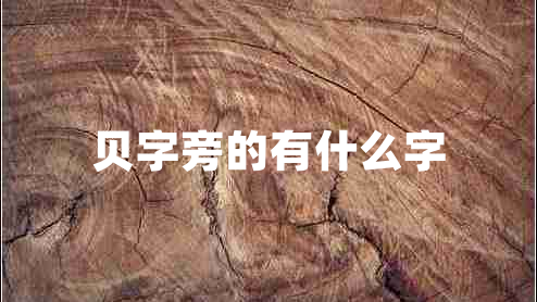 貝字旁的有什么字